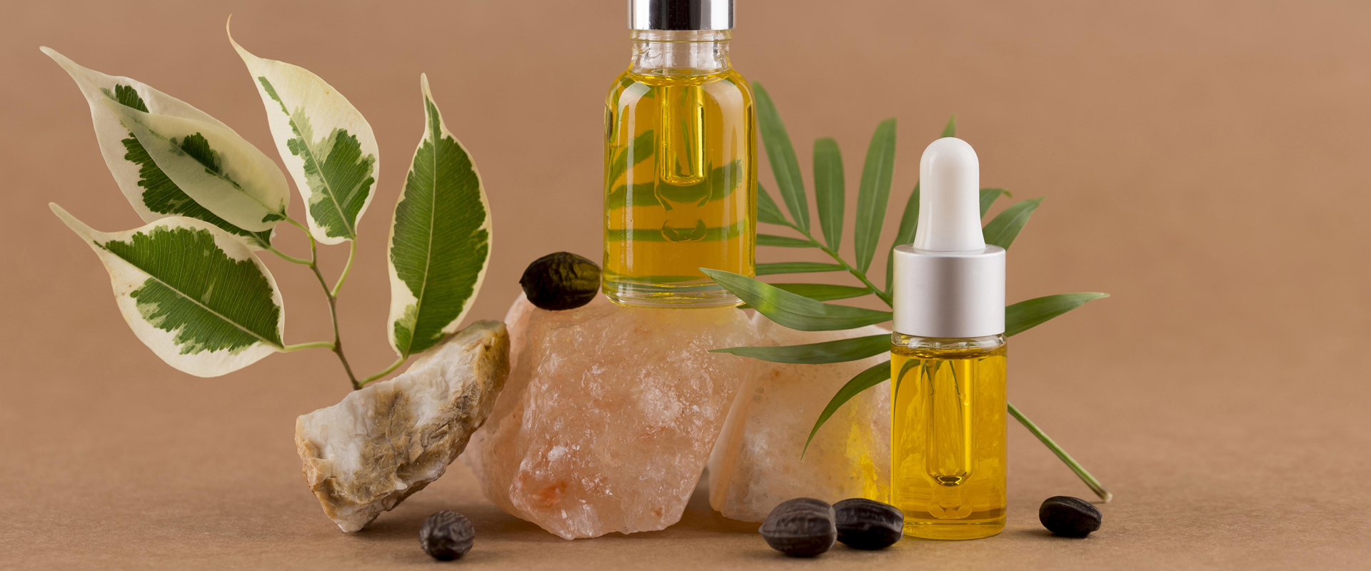 Extraits de plantes médicinales